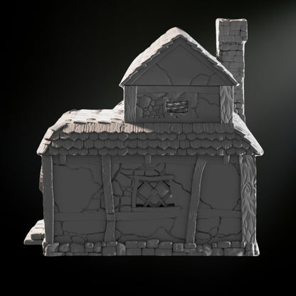 Medieval Fantasy House - Tabletop Terrain