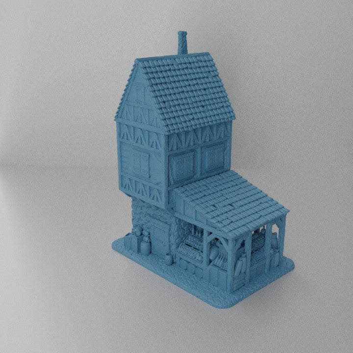 Grocery House - Tabletop Terrain