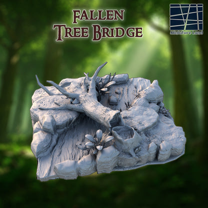 Fallen Tree Bridge