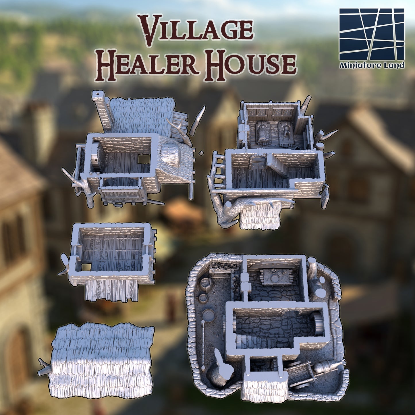 Village Healer House