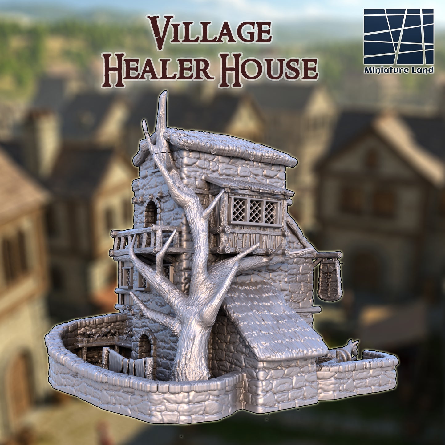 Village Healer House