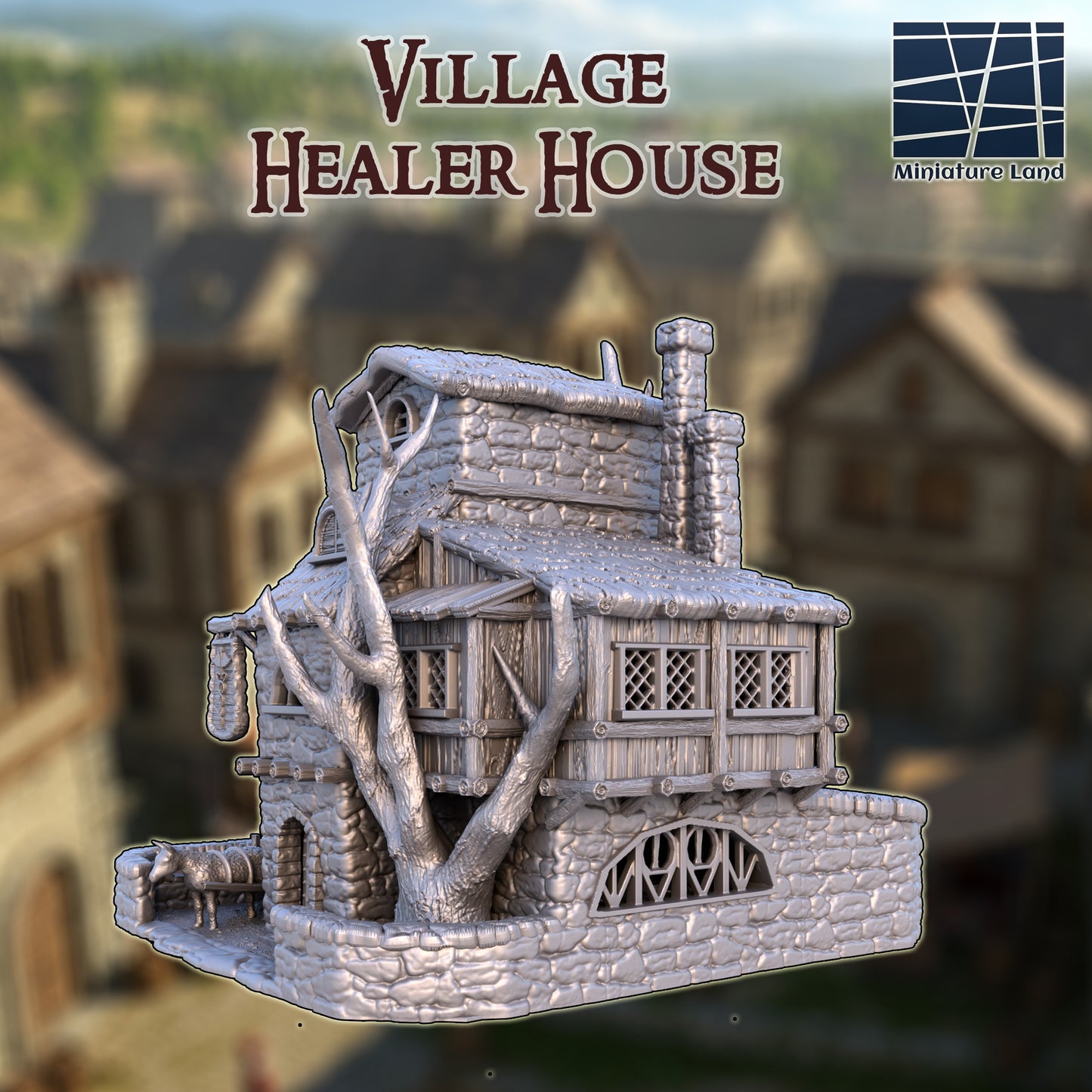 Village Healer House