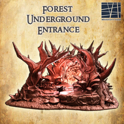 Forest Underground Entrance