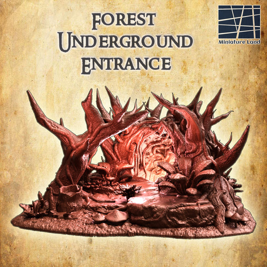 Forest Underground Entrance