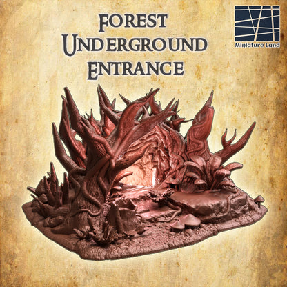 Forest Underground Entrance