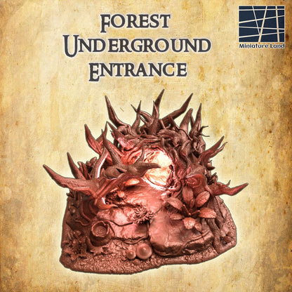 Forest Underground Entrance