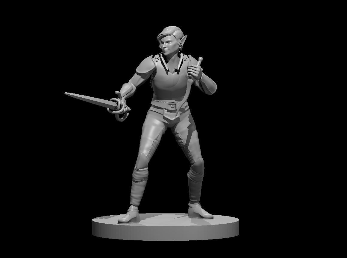 Elf Female | Shadow Fey Dualist | Tabletop Miniatures