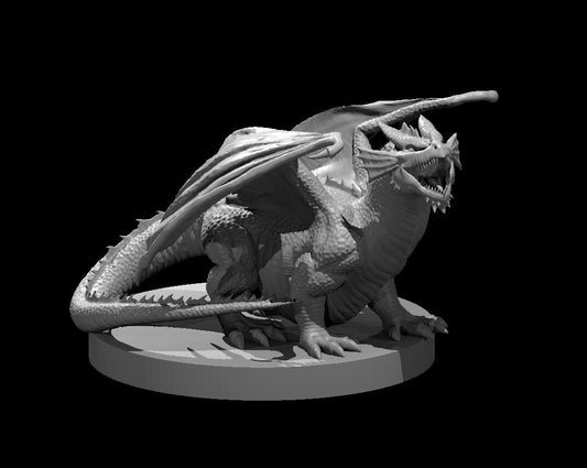 Chonky Red Dragon Wyrmling | Chromatic Dragon | Tabletop Miniature