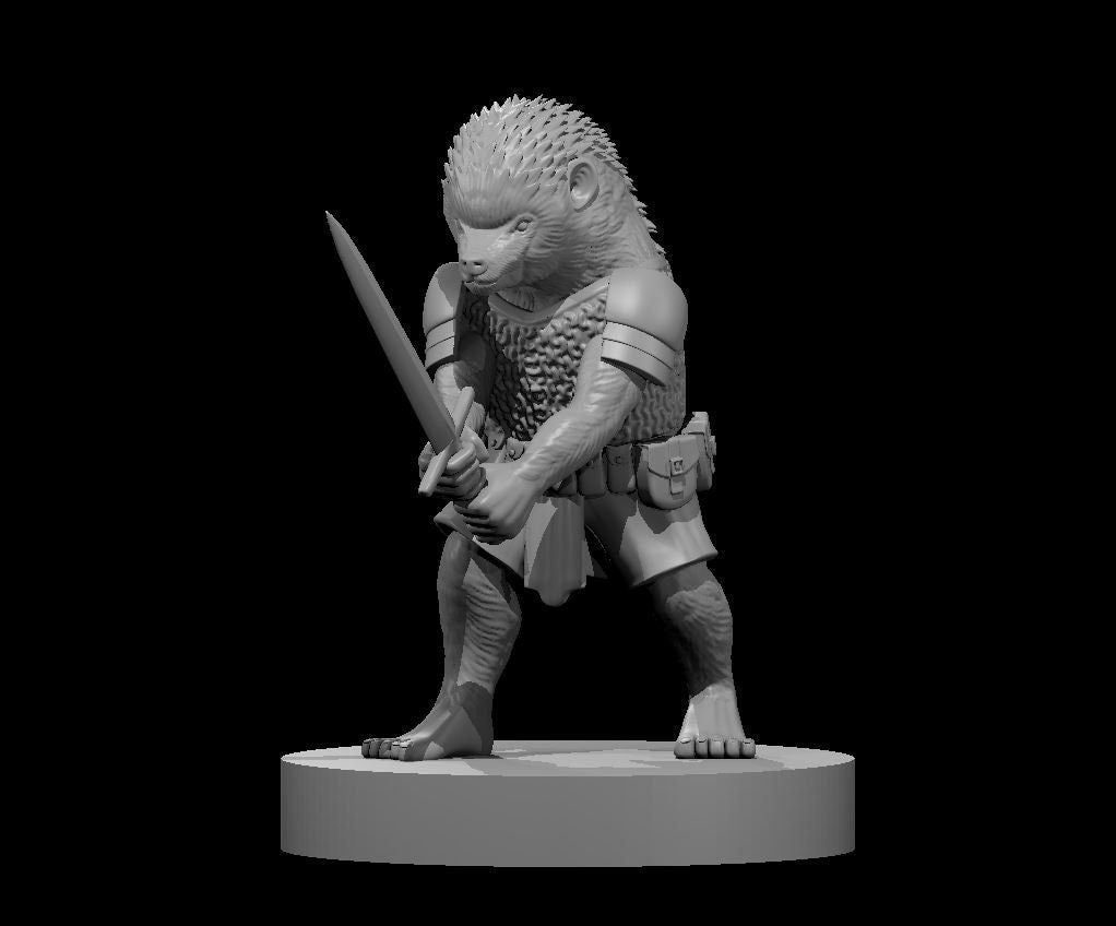 Erina Defenders | Tabletop Miniatures