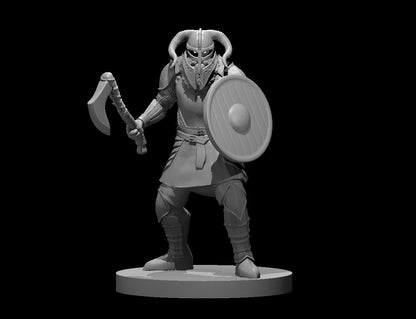 Einhejar Viking with Axe and Shield | Tabletop Miniatures