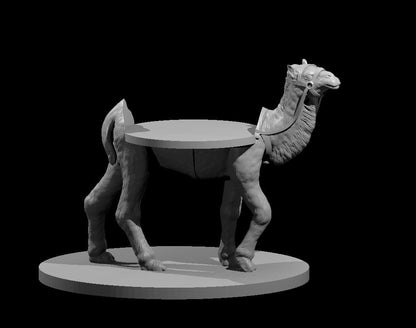 Camel Mount with Mini Slot | Desert Mount | Tabletop Miniature